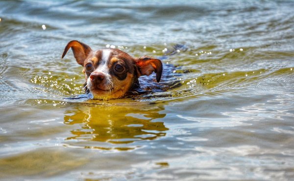 Comment débuter en parapente ?